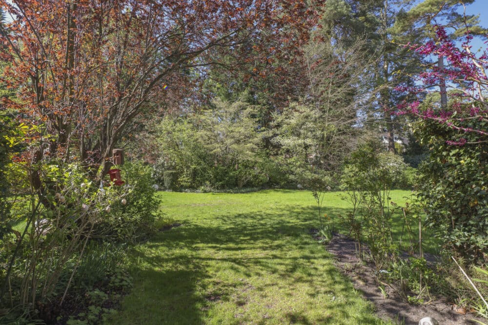Blick in den Garten