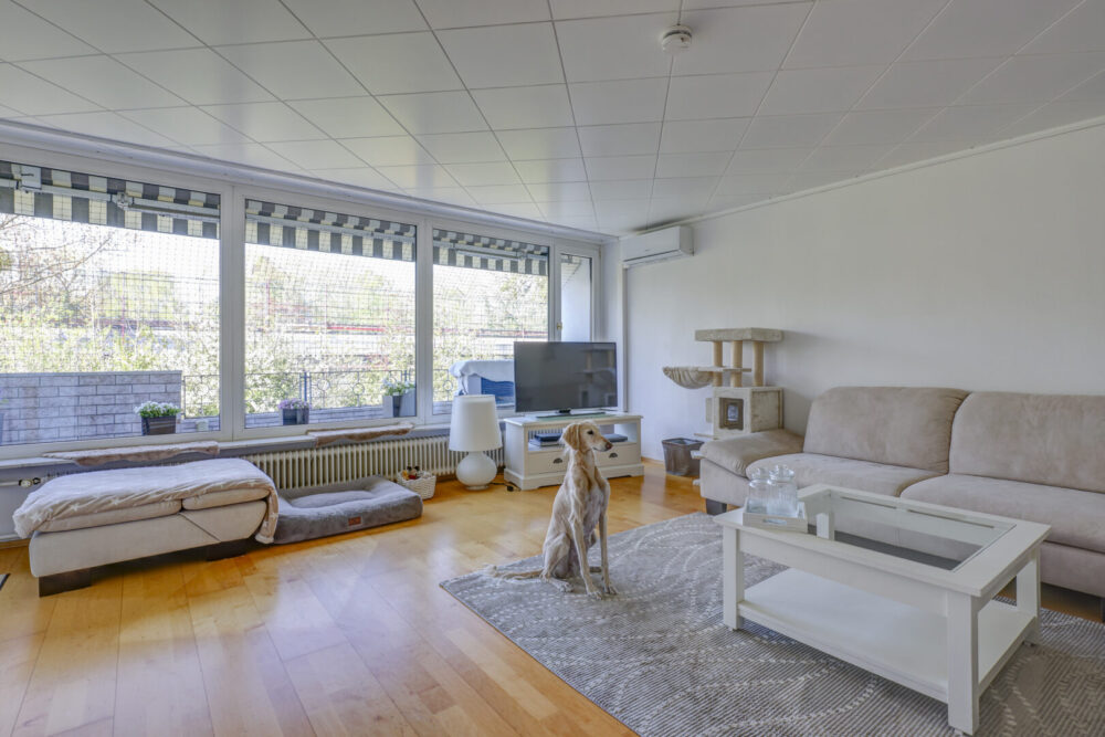 web_Rheinbabenallee13a_0019